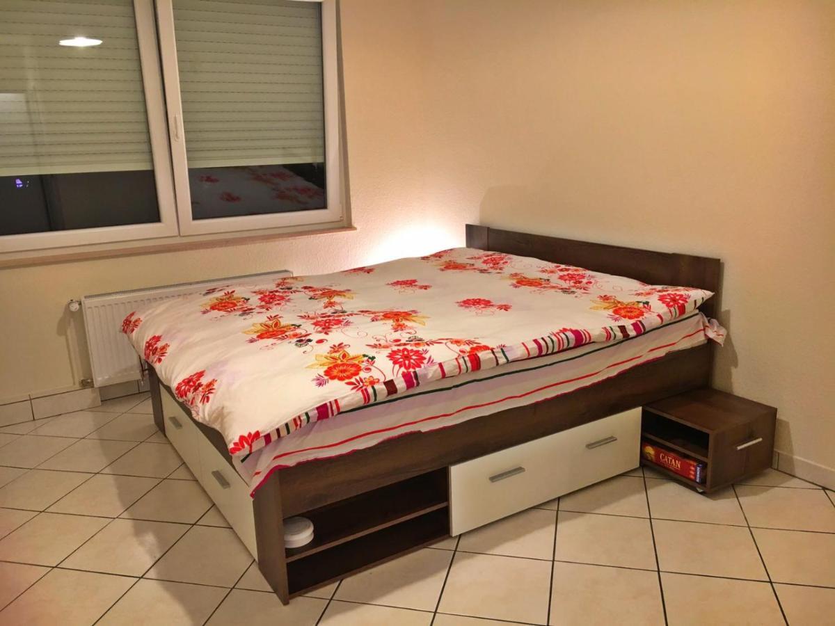 Cozy Studio Apart - King Bed - Netflix - Projector - Fast Wi-Fi ルクセンブルク エクステリア 写真